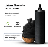 Berkey Phoenix new millennium water filter